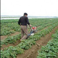 蔬菜种植用开沟培土机新型开沟培土机小型农机开沟培土机