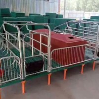 甘肃母猪产床订做厂家/泊头市金码畜牧设备安全可靠