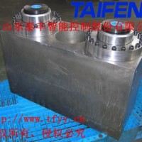 山东泰丰MB-02-09N-00电液折弯机油缸