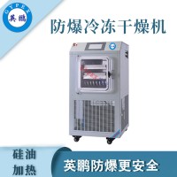 英鹏 北京防爆原位冷冻干燥机