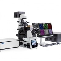 激光共聚焦显微镜的应用