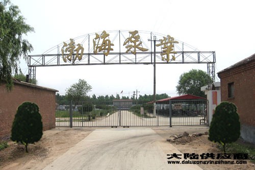 中国河北沧州渤海油泵实体生产厂凯越hrv油泵更换多少钱厂家价格