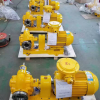 中国河北省沧州渤海泵业制造有限公司反措 直流油泵物超所值的好物